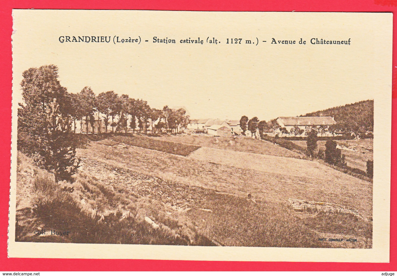 CPA-48- GRANDRIEU -  AVENUE De CHATEAUNEUF * Coll. Boyer ** 2 SCANS - Gandrieux Saint Amans