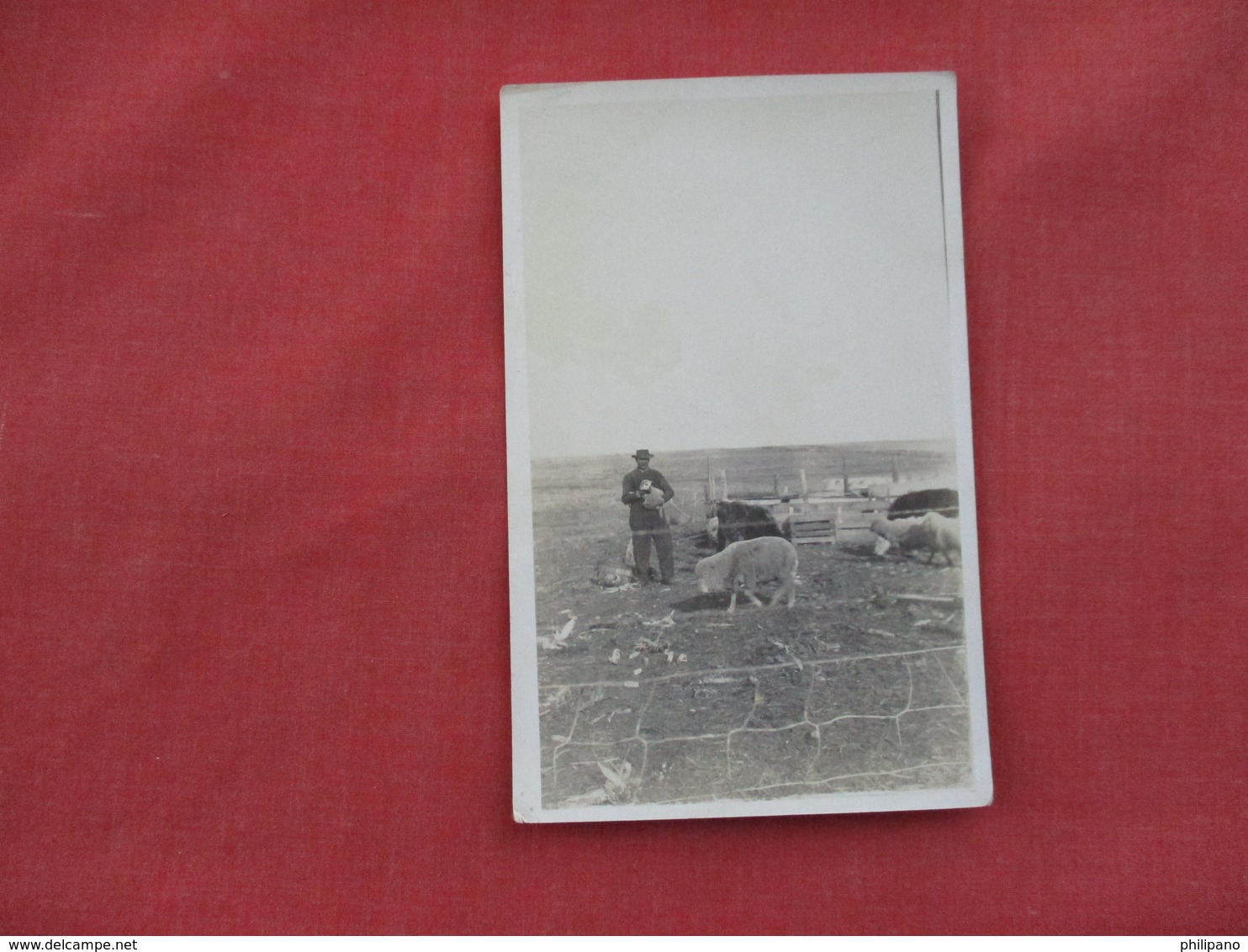 RPPC     Man With Sheep    Ref. 3079 - Autres & Non Classés