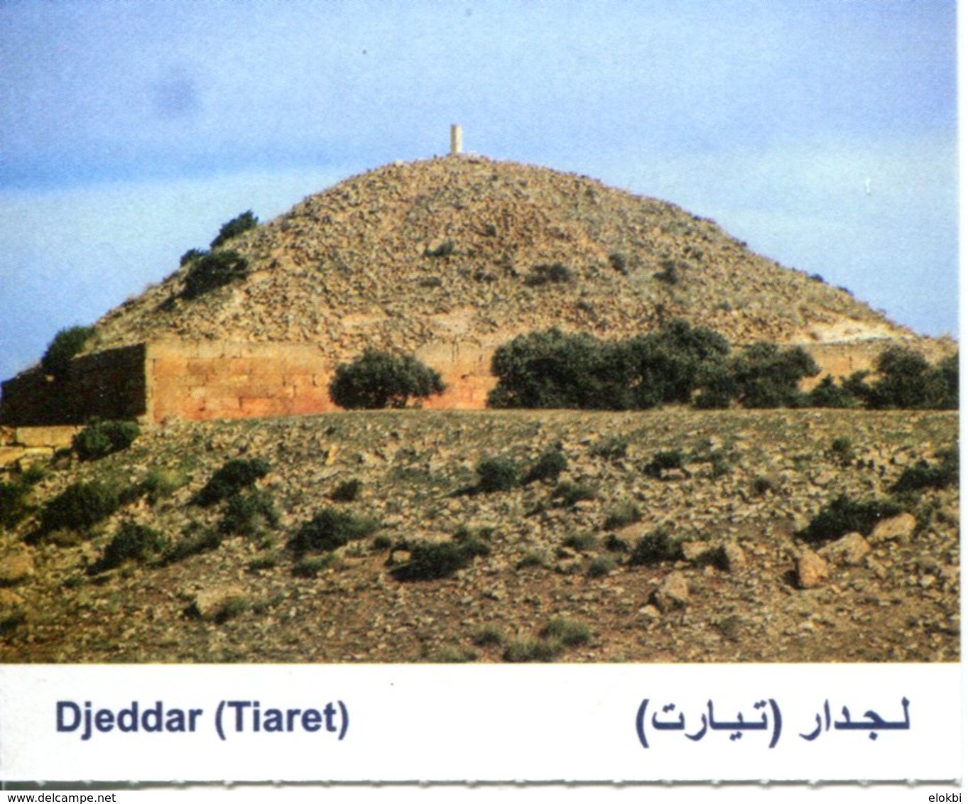 Musée De Timgad (Timgad - Algérie) - Tickets D'entrée