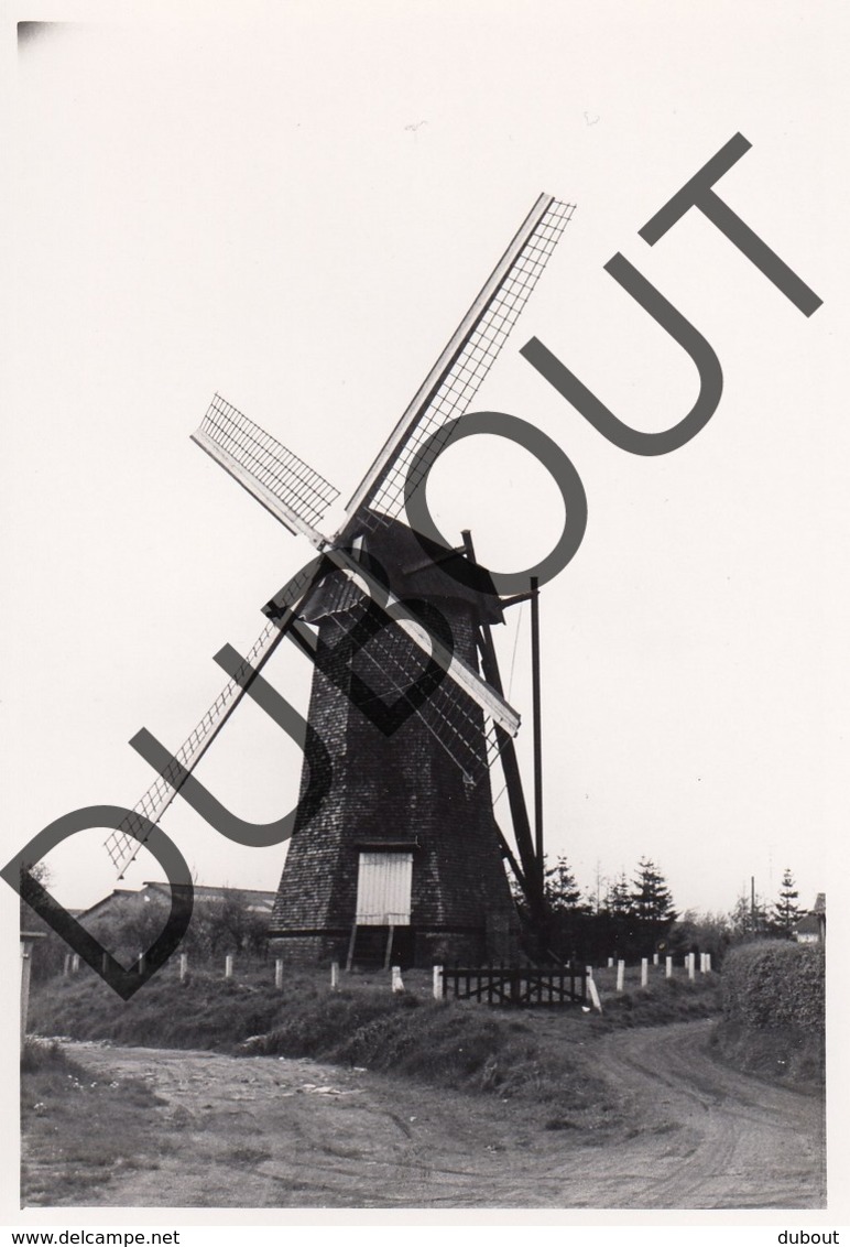 Arendonk Molen/Moulin Originele Foto E1 - Arendonk