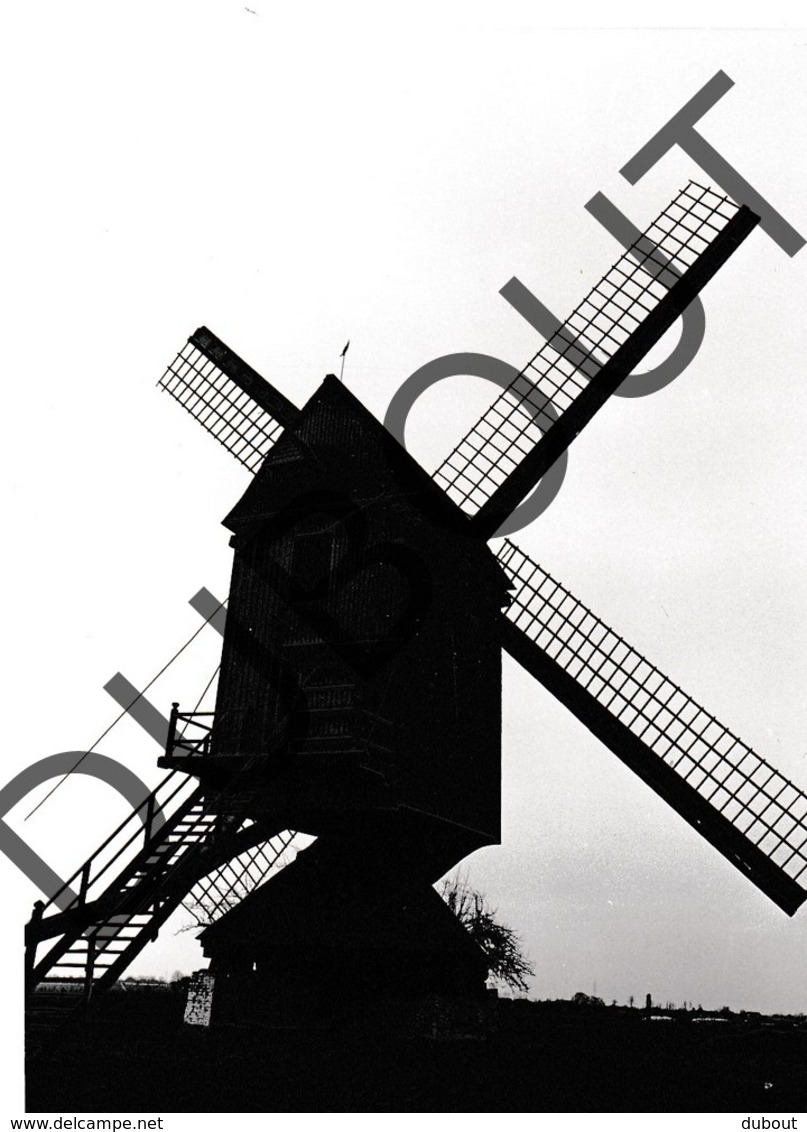 Geel - Elsum Molen/Moulin Originele Foto E7 - Geel