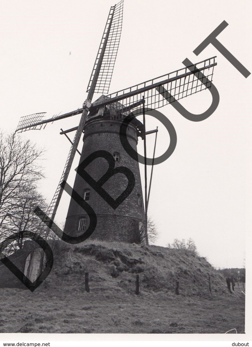 Pulderbos Molen/Moulin Originele Foto E8 - Zandhoven