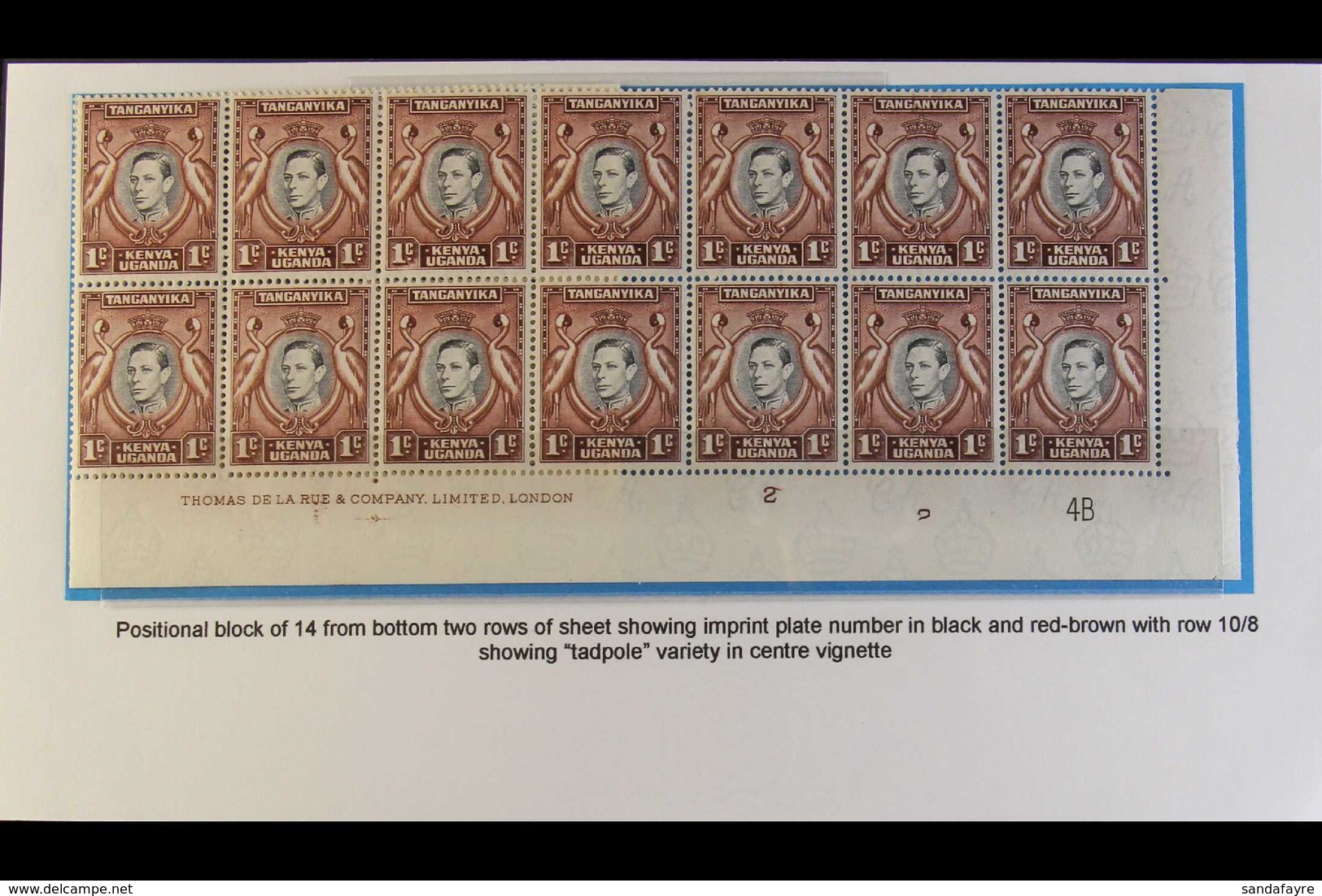 1942 1c Black And Chocolate Brown, Perf 13¼ X 13¾, SG 131, A Fine Never Hinged Mint Plate Block Of Twenty From The Botto - Vide