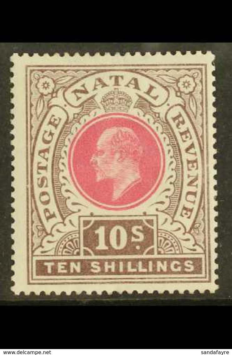 NATAL 1902 10s Deep Rose And Chocolate, SG 141, Very Fine Mint. For More Images, Please Visit Http://www.sandafayre.com/ - Unclassified