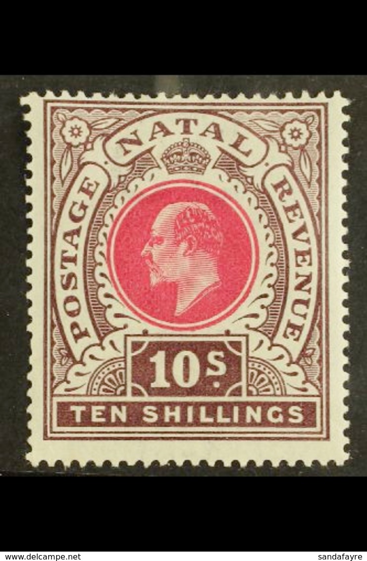 NATAL 1902 10s Deep Rose And Chocolate, Ed VII, SG 141, Very Fine And Fresh Mint. For More Images, Please Visit Http://w - Non Classés