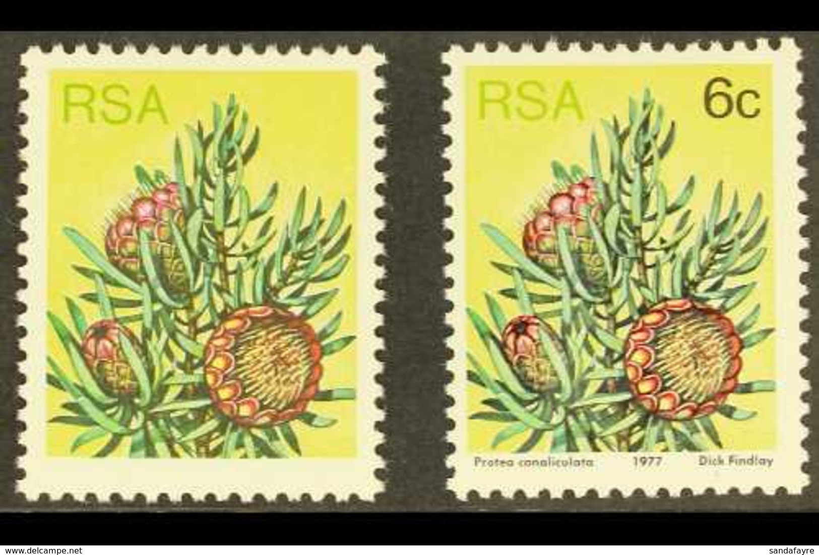 1977-82 6c Protea Definitive, BLACK OMITTED (value & Inscription), SG 419a, Never Hinged Mint, With Normal For Compariso - Ohne Zuordnung