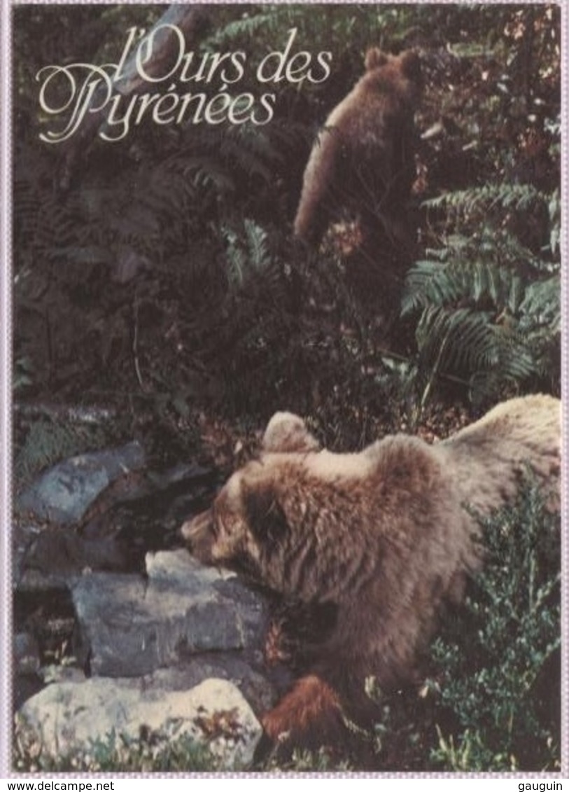 CPM - OURS Des PYRENEES - Edition Loubatières - Bears