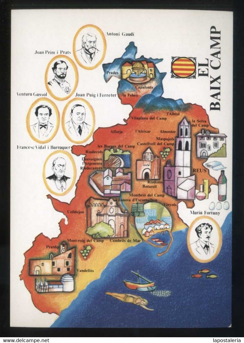 CCC 1977. *Campanya per la identificació del Territori* Lote 50 diferentes.