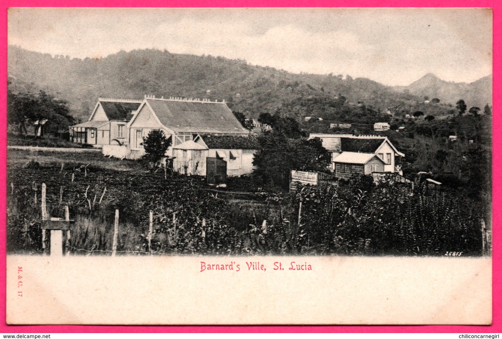 Cpa - Antilles - Barnard's Ville - St Lucia - Sainte Lucie - M. & C. N° 17 - Sainte-Lucie