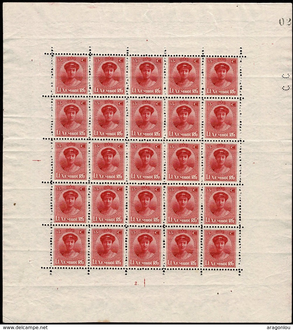 1921 Bloc-Feuillet Neuf Sans Charnière, 5x5 Grande-Duchesse Charlotte 15c. Rouge-carmin, 2Scans - Blocs & Feuillets