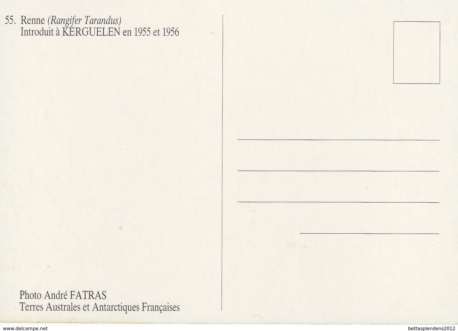 CPM - TAAF - RENNES  Introduits à KERGUELEN En 1955 Et 1956 - TAAF : Territorios Australes Franceses