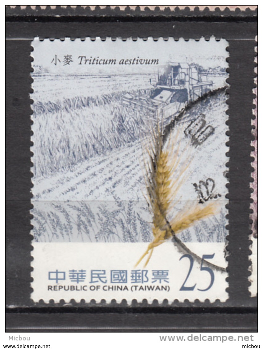 Taiwan, Blé, Wheat, Moiçonneuse-batteuse, Tracteur, Tractor - Agriculture