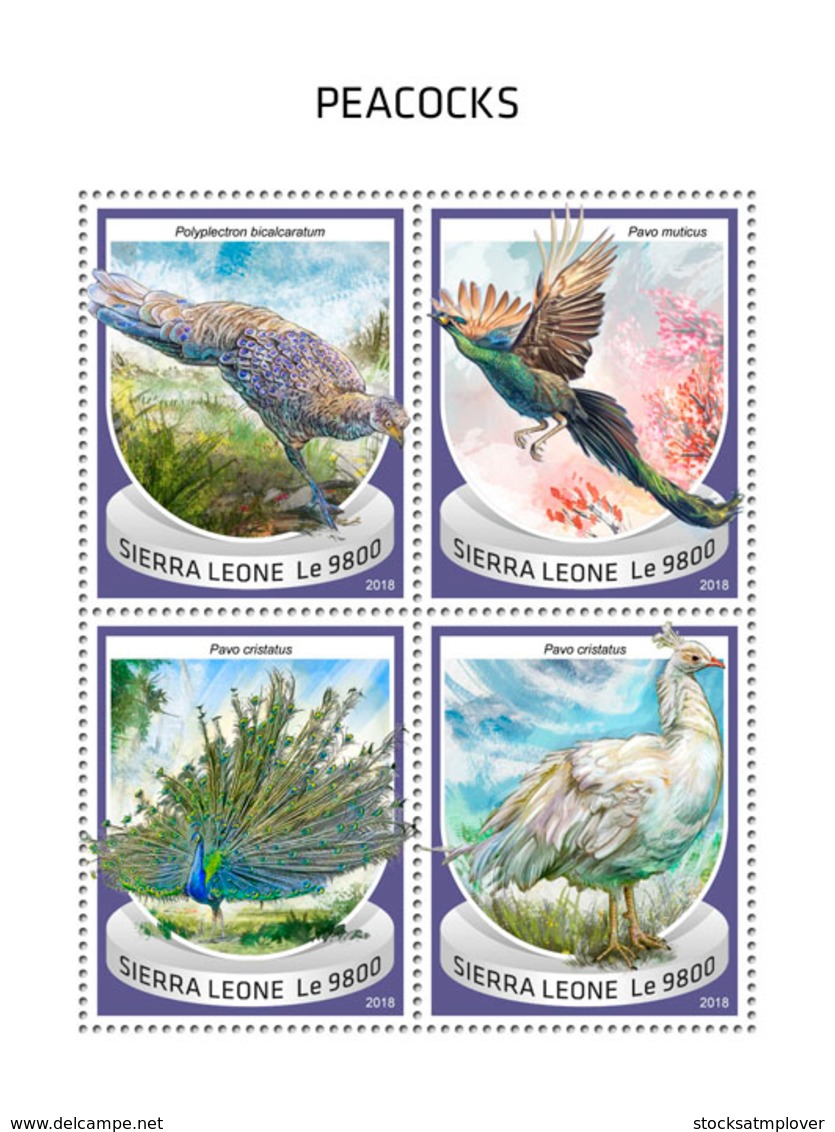 Sierra Leone 2018  Peacocks Fauna   S201810 - Sierra Leone (1961-...)