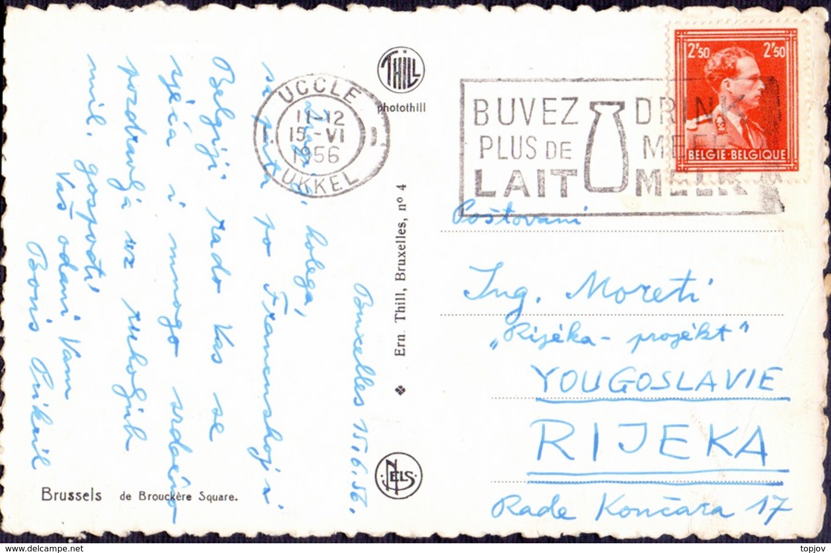 BELGIE - BELGIQUE - LAIT  MILK Mashin. Postmark - UCCLE - 1956 - Food