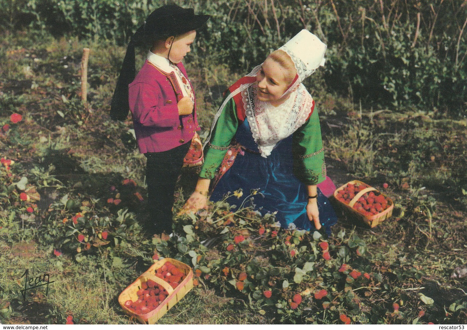 Cpsm La Cueillette Des Fraises à Plougastel En Tenue Traditionnelle - Plougastel-Daoulas