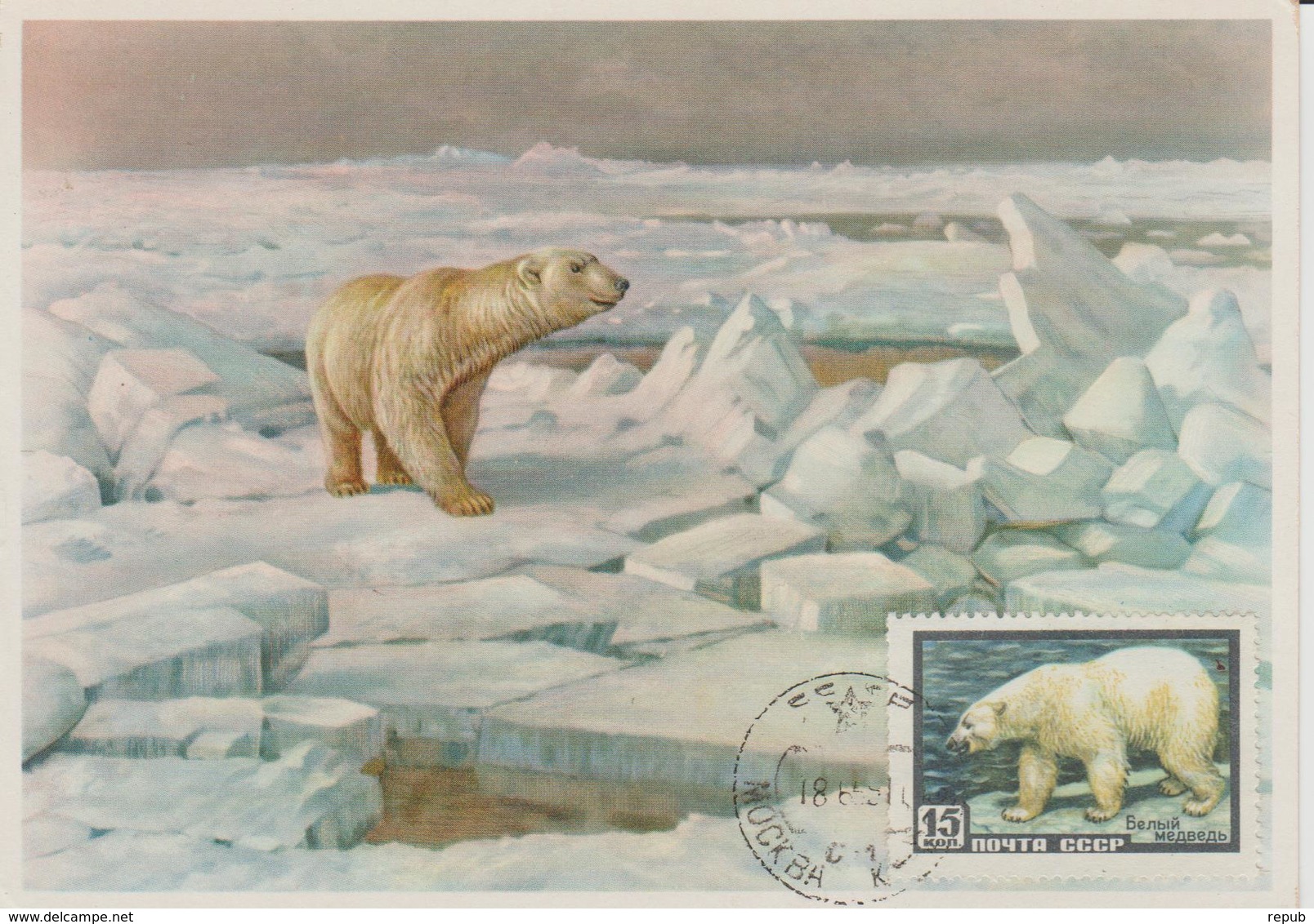 URSS Carte Maximum 1957 Animaux Ours Blanc 1904A - Cartes Maximum
