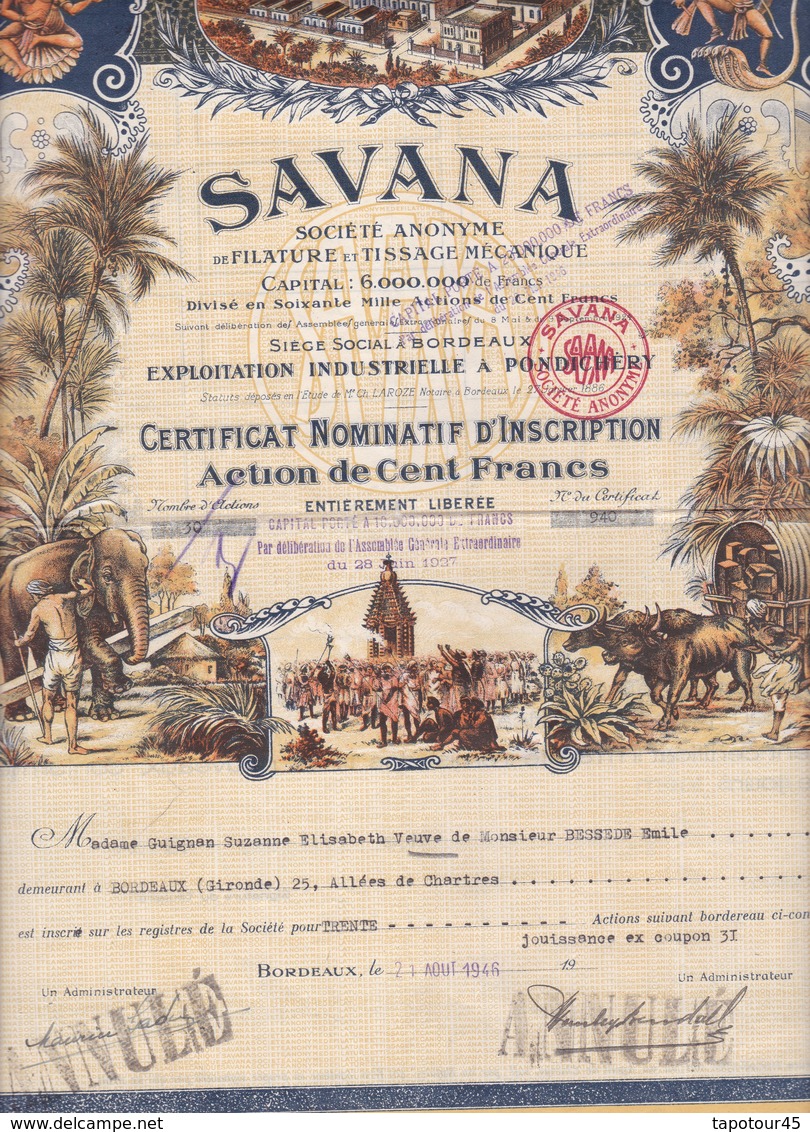 Th2	SAVANA : Certificat	(Jolie Décor) Grand Format  1946  (29) - Autres & Non Classés