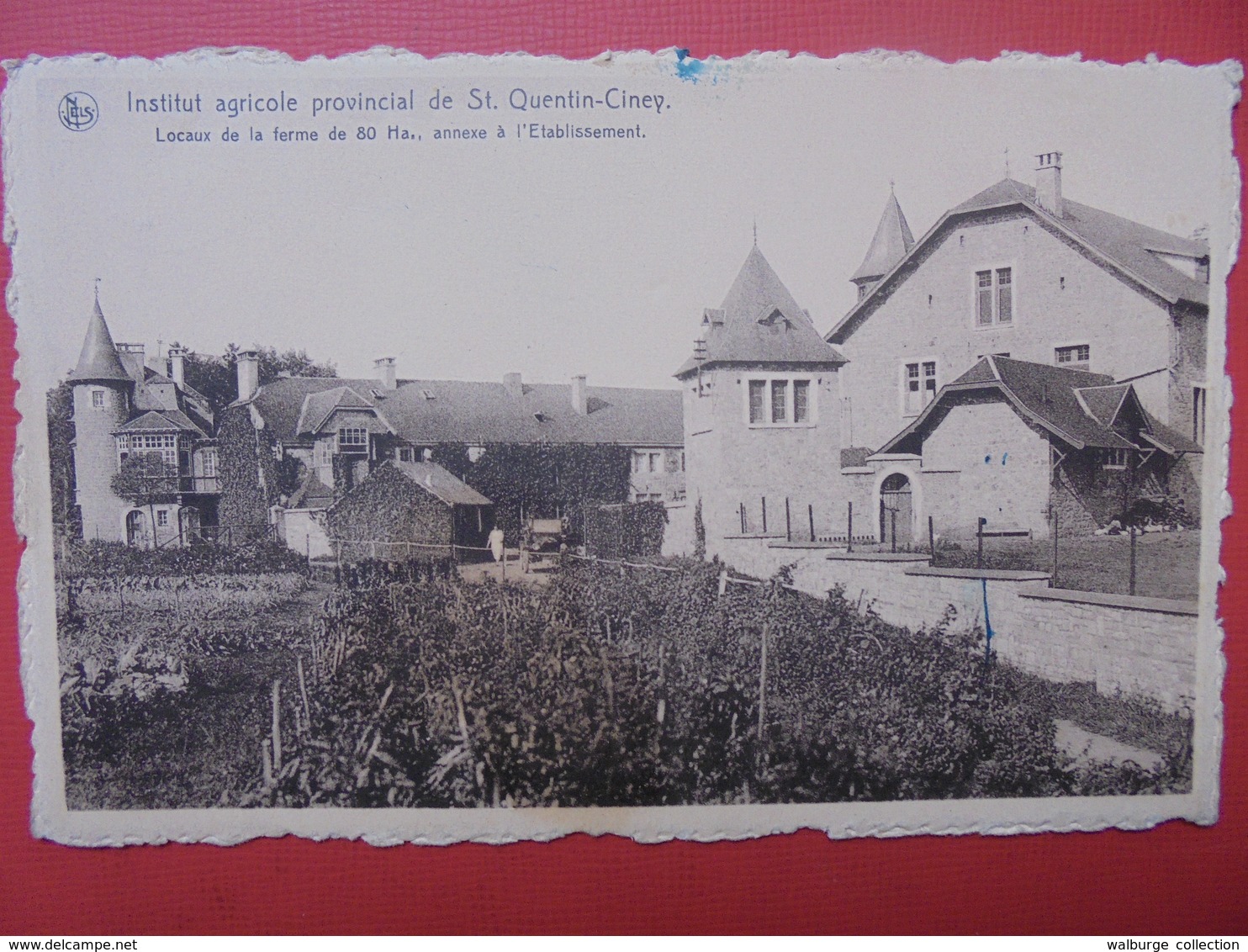 Saint-Quentin(Ciney) :Institut Agricole (S340) - Ciney