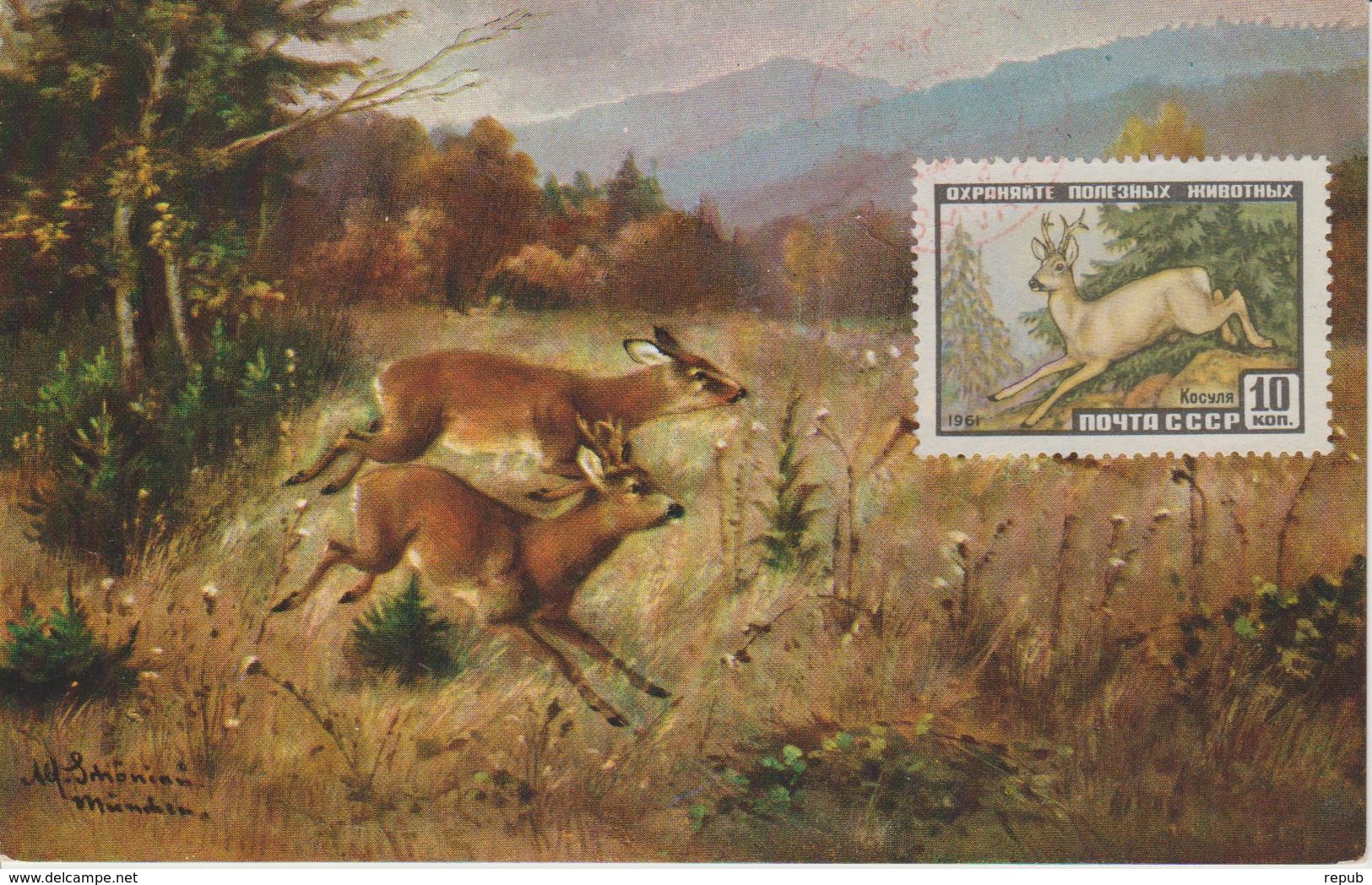 URSS Carte Maximum 1961 Animaux Chevreuil 2383 - Cartes Maximum