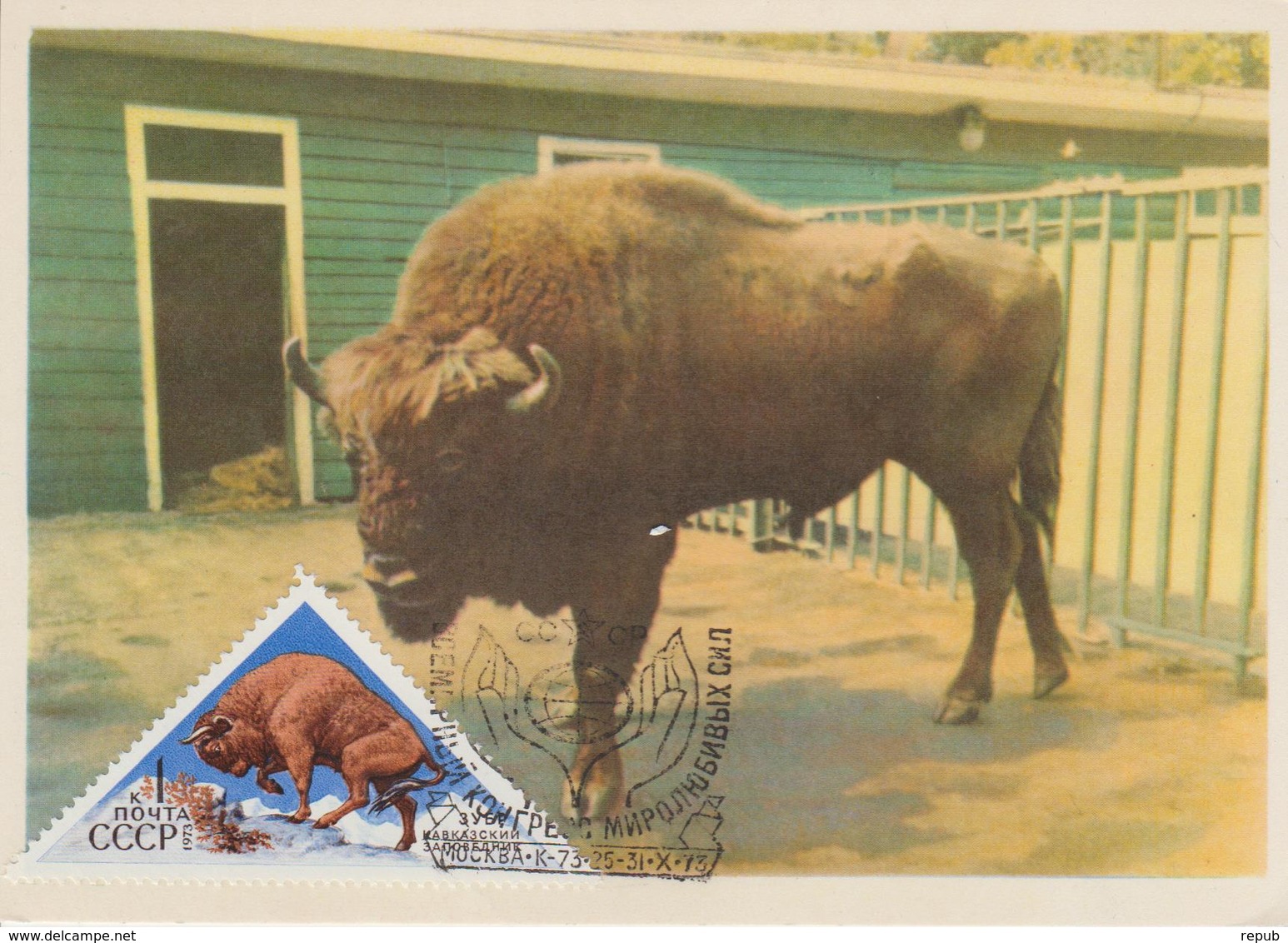 URSS Carte Maximum 1973 Animaux Bison 3945 - Cartes Maximum