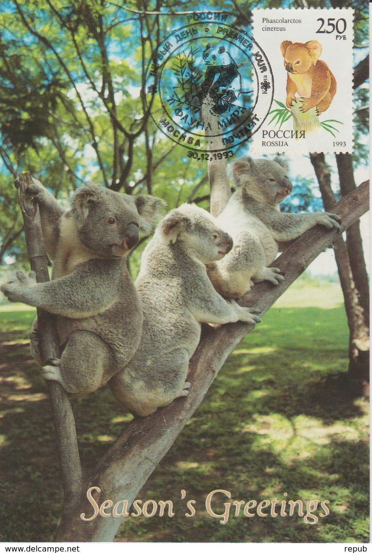 Russie Carte Maximum 1993 Animaux Koala 6041 - Cartes Maximum