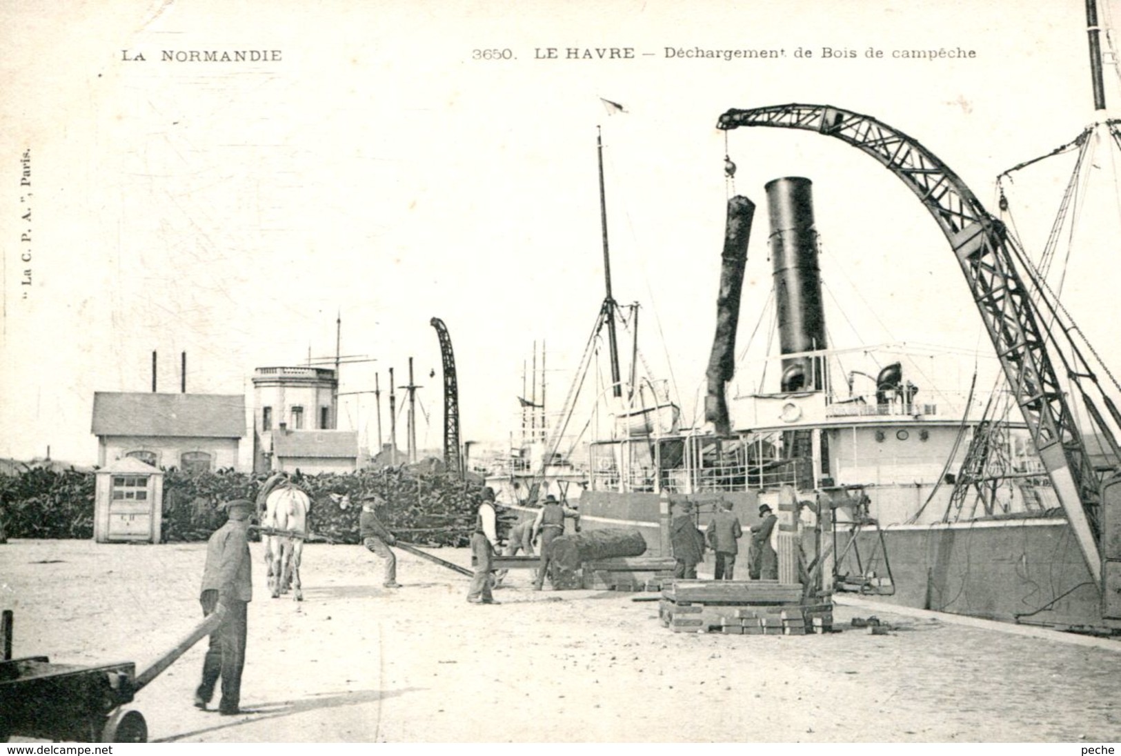 N°66585 -cpa Le Havre -déchargement De Bois De Campêche- - Commerce