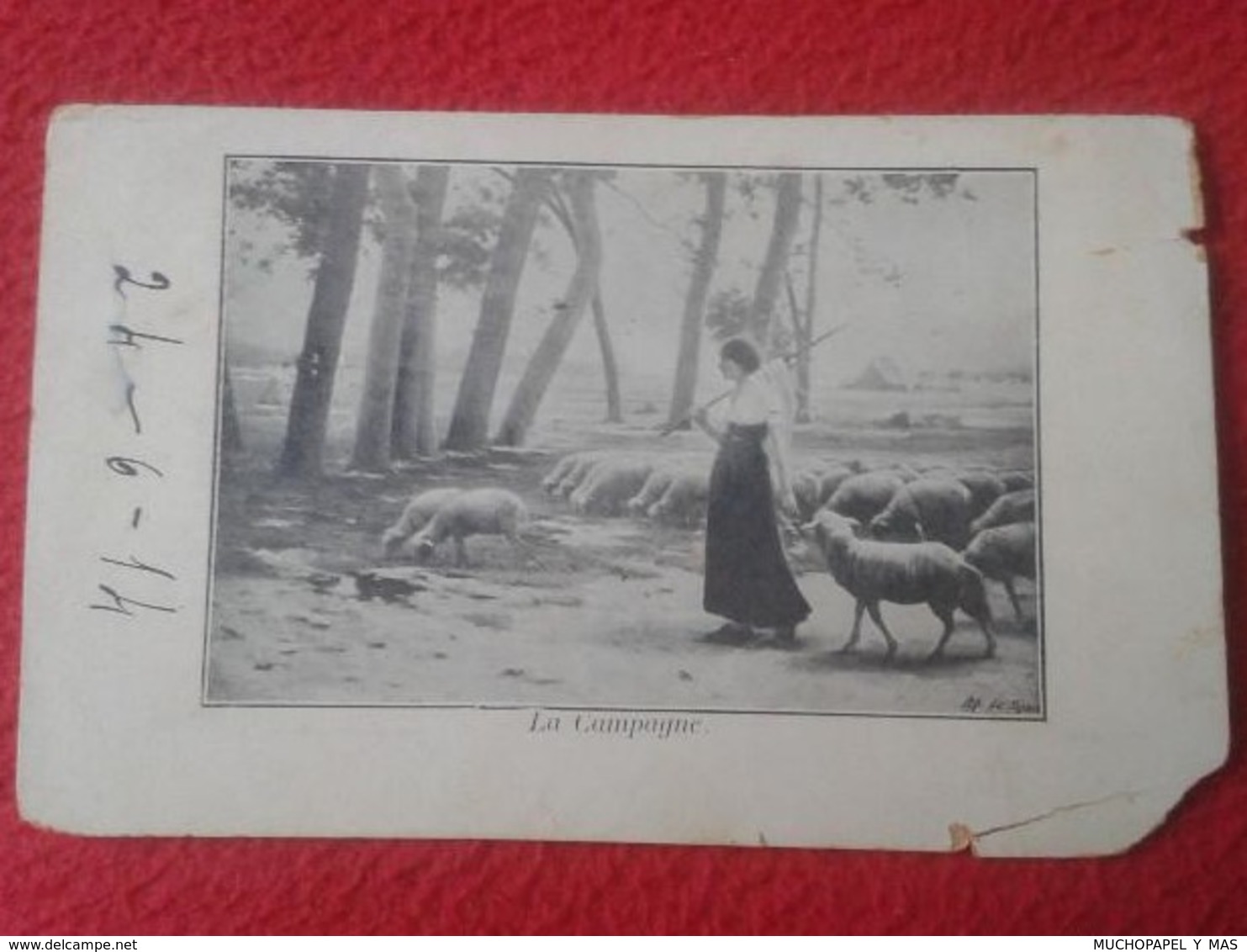 POSTAL POST CARD CARTE POSTALE MUJER CHICA PASTORA PASTORCILLA CON OVEJAS. OVEJA . DE FRANCE ? SPAIN ? SHEEP SHEPHERD VE - Otros & Sin Clasificación