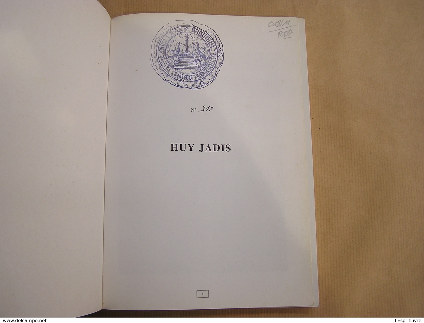 HUY JADIS René Dubois Régionalisme Histoire Vallée De La Meuse Inondations Guerre Peste Coutumes Château Fêtes Vie - Belgio