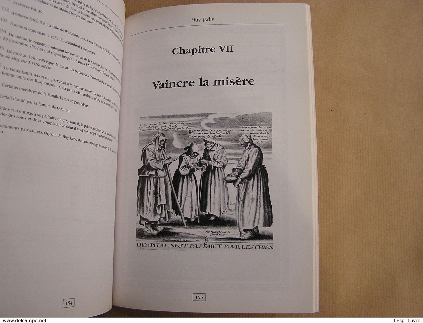 HUY JADIS René Dubois Régionalisme Histoire Vallée de la Meuse Inondations Guerre Peste Coutumes Château Fêtes Vie