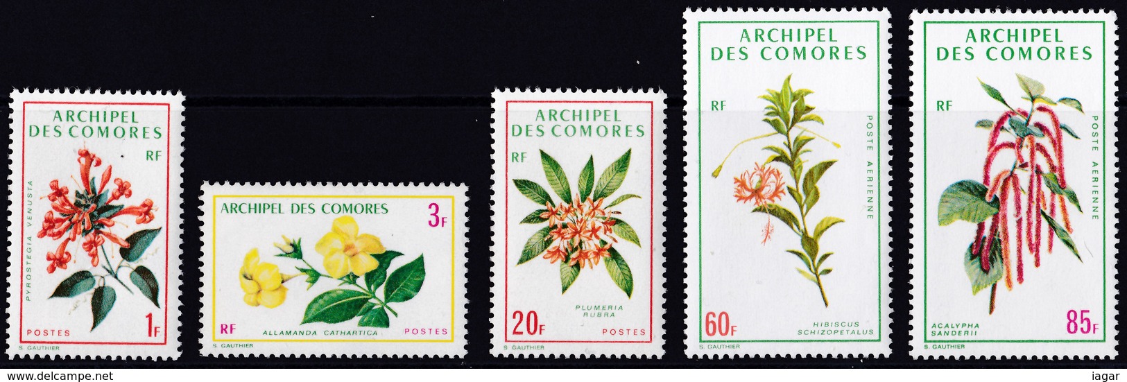 THEMATIC  FLOWERS, LOCAL FLOWERS - COMORES - Altri & Non Classificati