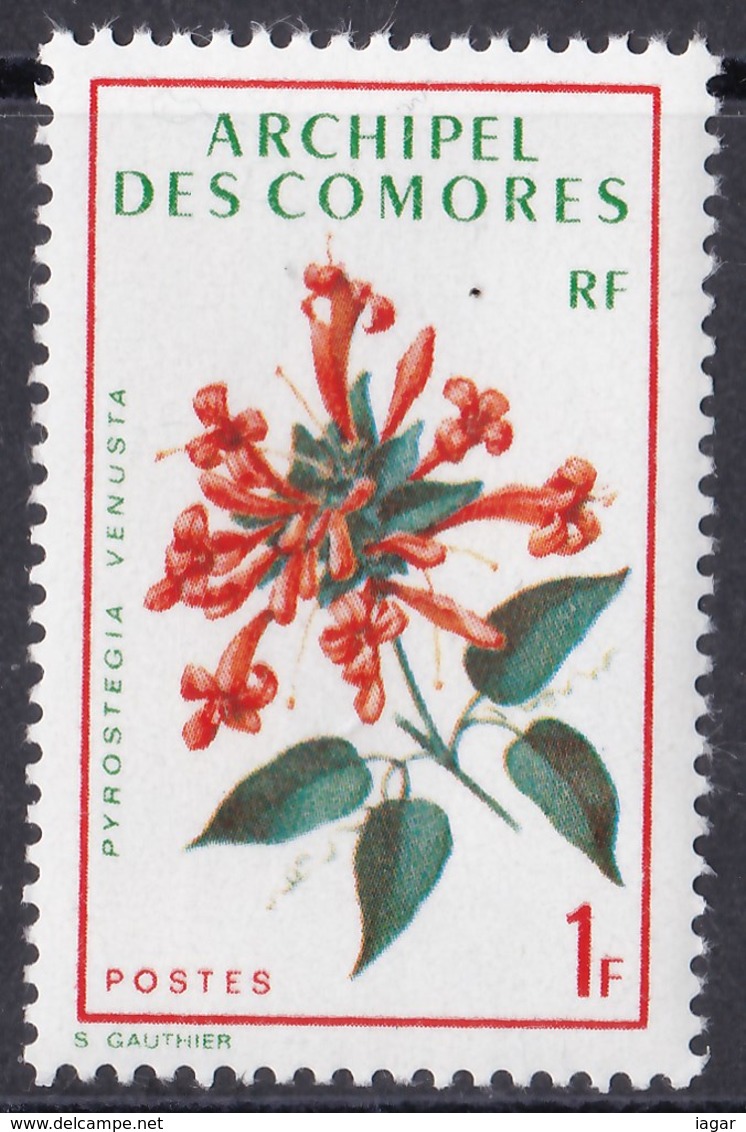 THEMATIC  FLOWERS, LOCAL FLOWERS - COMORES - Altri & Non Classificati