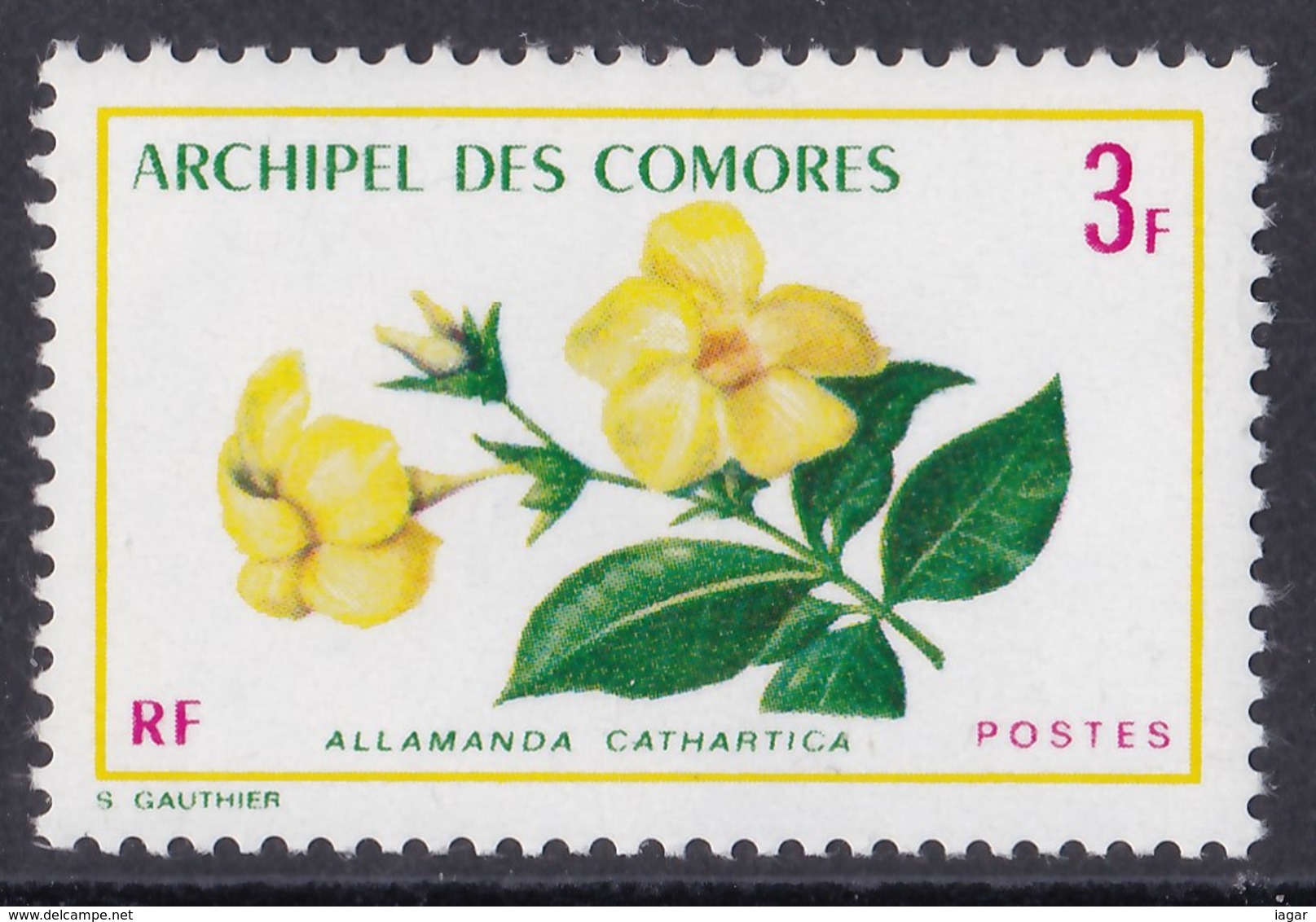 THEMATIC  FLOWERS, LOCAL FLOWERS - COMORES - Altri & Non Classificati