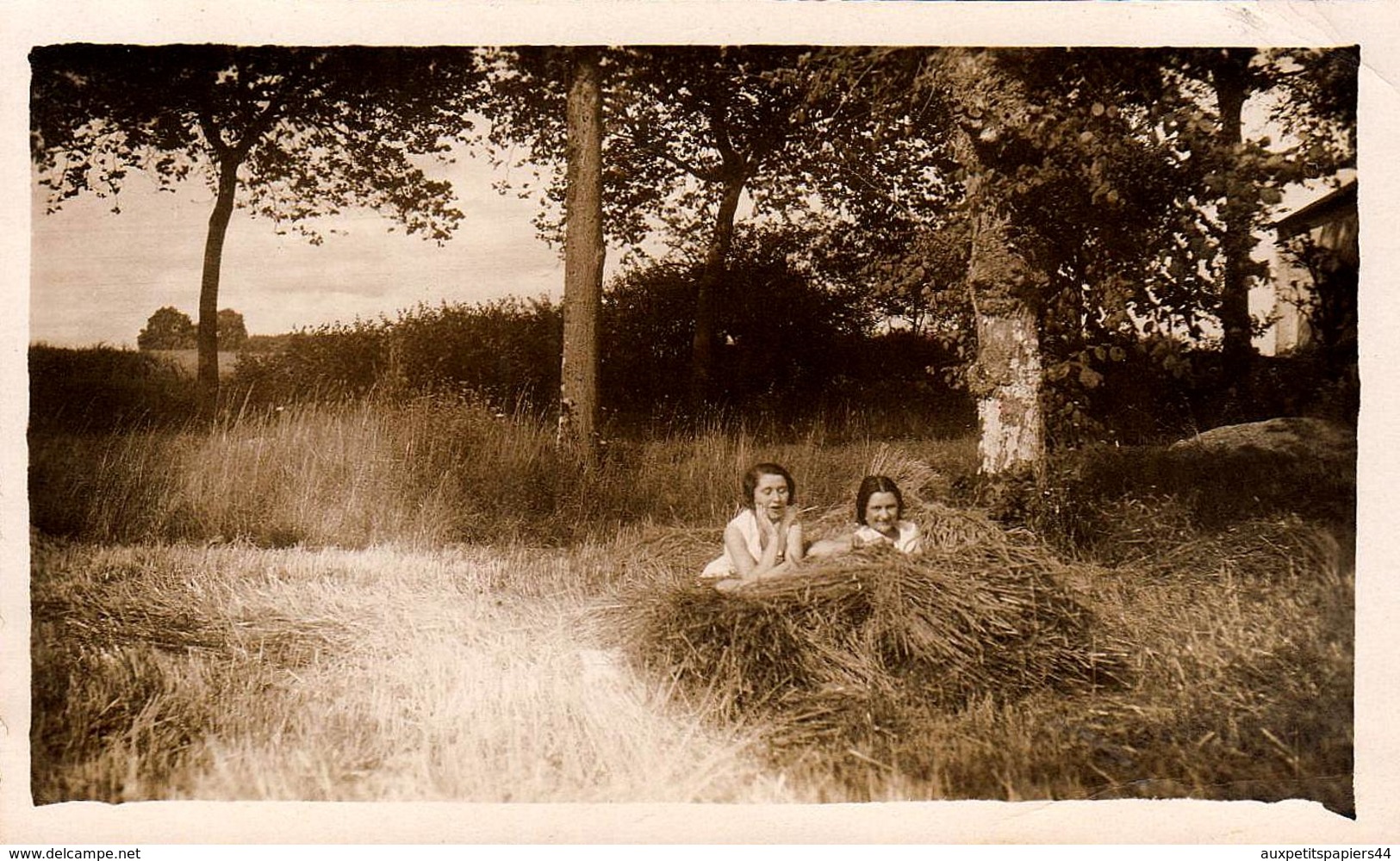 Photo Originale Jeunes Femmes Coquines Allongées Dans La Paille En Juillet 1932 - Partie De Campagne - Pin-up