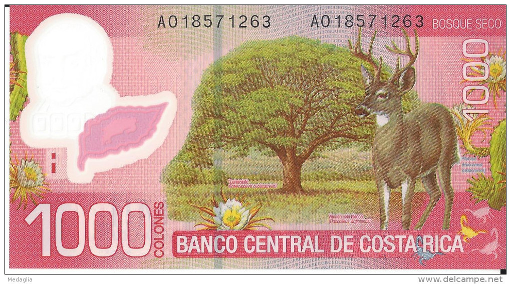 COSTA RICA - 1000 Colones 2009 - Polymer UNC - Costa Rica