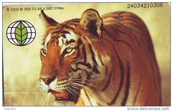 Télécarte  * Animal * TIGRE * TIGER (880)  FELIN *   Phonecard * Telefonkarte * TIJGER - Jungle