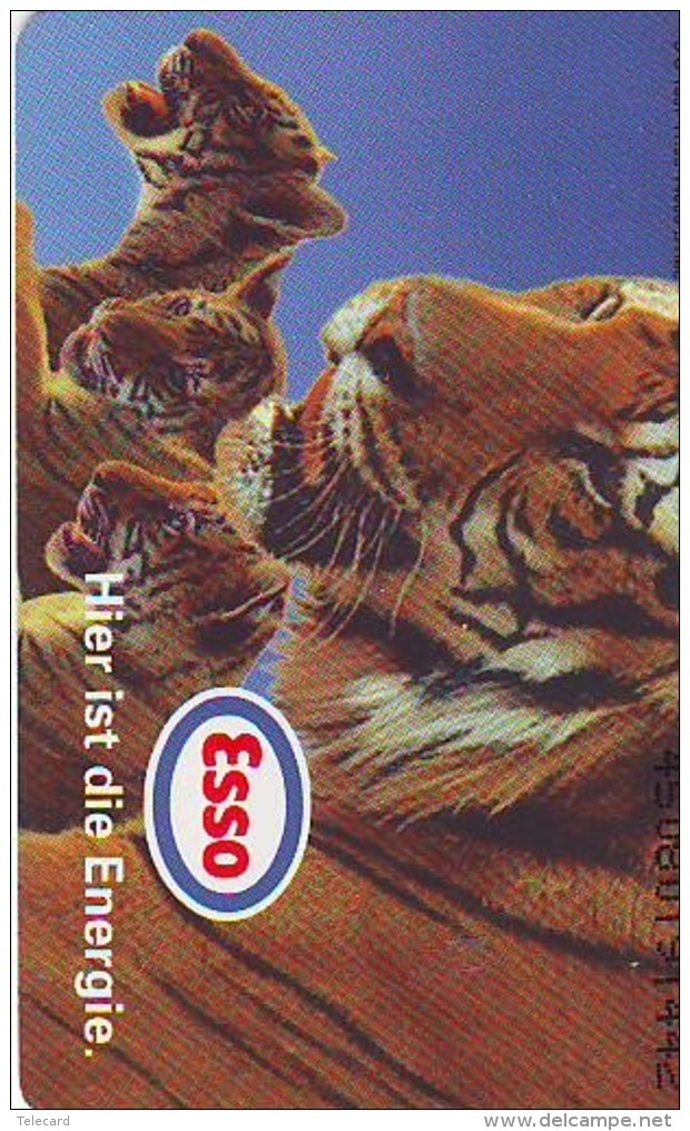 Télécarte  * Animal * TIGRE * TIGER (875)  FELIN *   Phonecard * Telefonkarte * TIJGER - Jungle