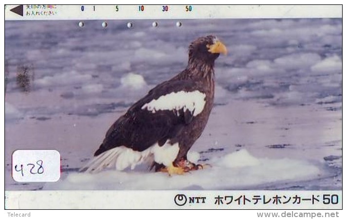 EAGLE - AIGLE - Adler - Arend - Águila - Bird - Oiseau (428) - Arenden & Roofvogels
