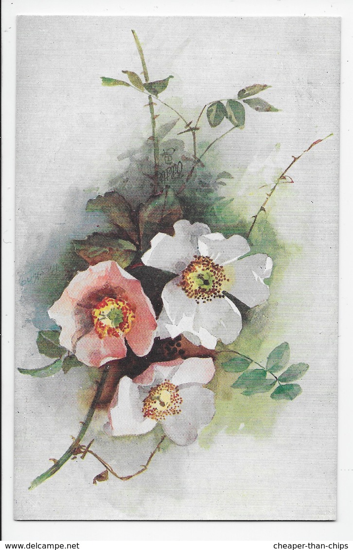 Wild Roses  - Tuck Oilette 9839 - Flowers