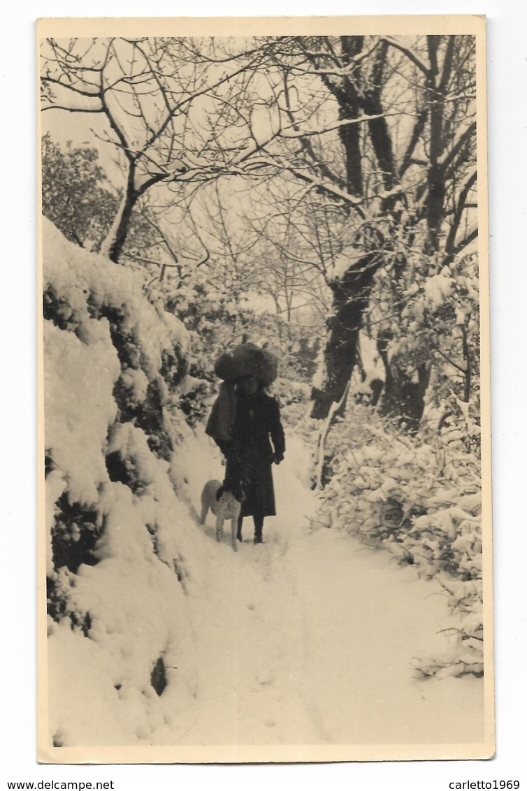 FOTO FERRANIA  DONNA CON CANE A PASSEGGIO SULLA NEVE - RETRO RIPORTATE ANNOTAZIONI FOTOGRAFO FEBBRAIO 1944 FP - Fotografia