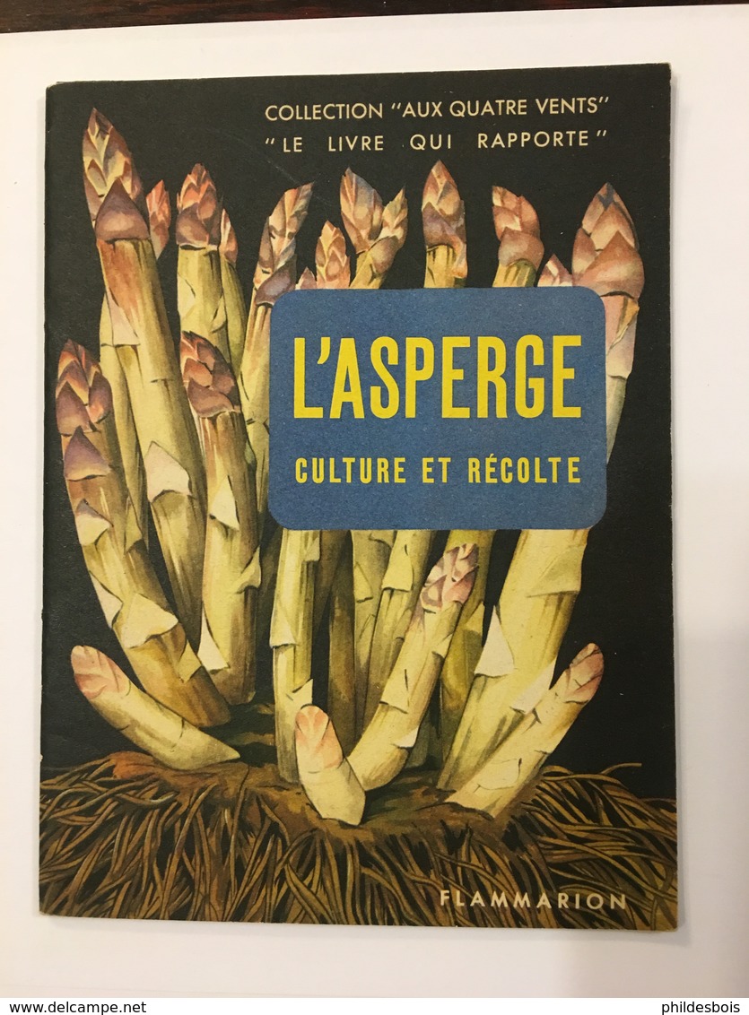 ARGENTEUIL   CATALOGUE Publicitaire 1955 L' ASPERGE Culture Et Récolte - Publicités