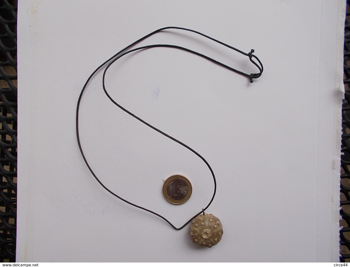 CADEAU ORIGINAL.OURSIN FOSSILE MONTE EN PENDENTIF.LONGUEUR REGLABLE. - Fossiles