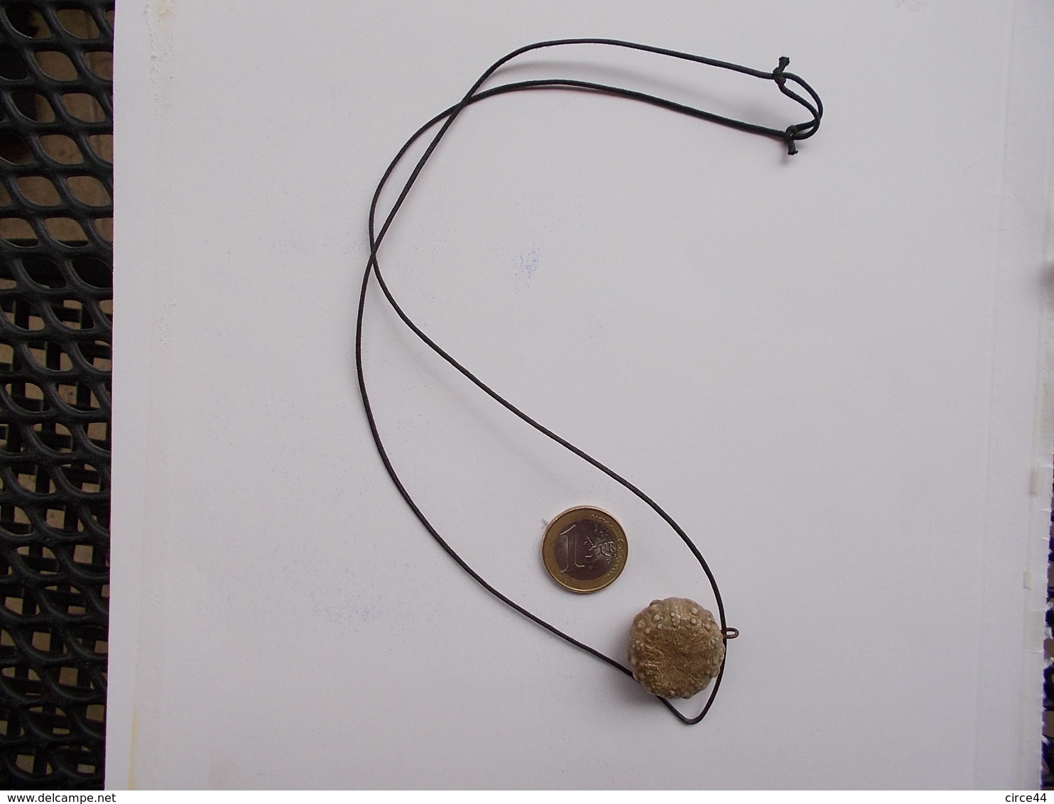 CADEAU ORIGINAL.OURSIN FOSSILE MONTE EN PENDENTIF.LONGUEUR REGLABLE. - Fossielen