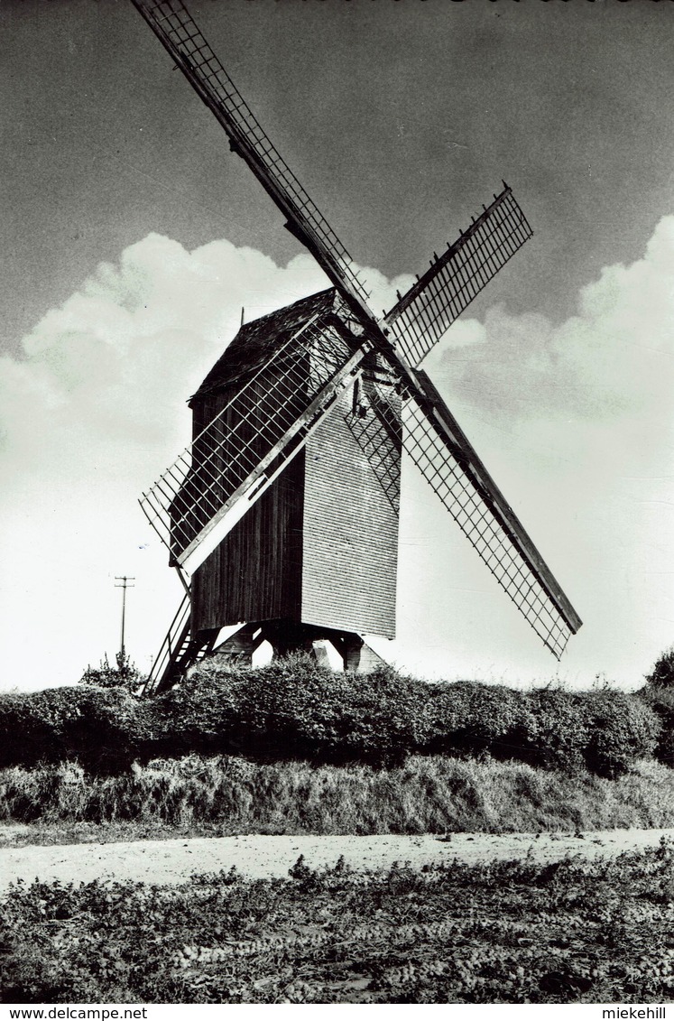 MEULEBEKE-BOSTERHOUTMOLEN-MOULIN A VENT-MOLEN - Meulebeke