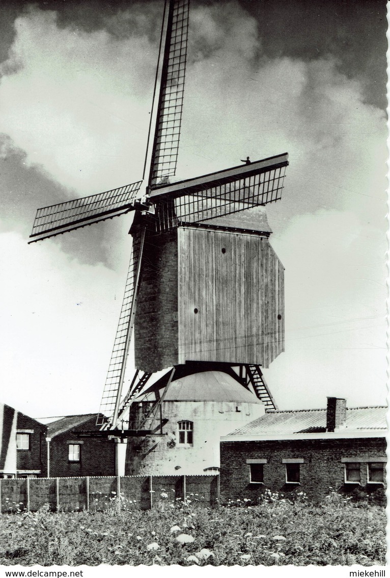 MEULEBEKE-HERENTMOLEN-MOULIN A VENT-MOLEN - Meulebeke