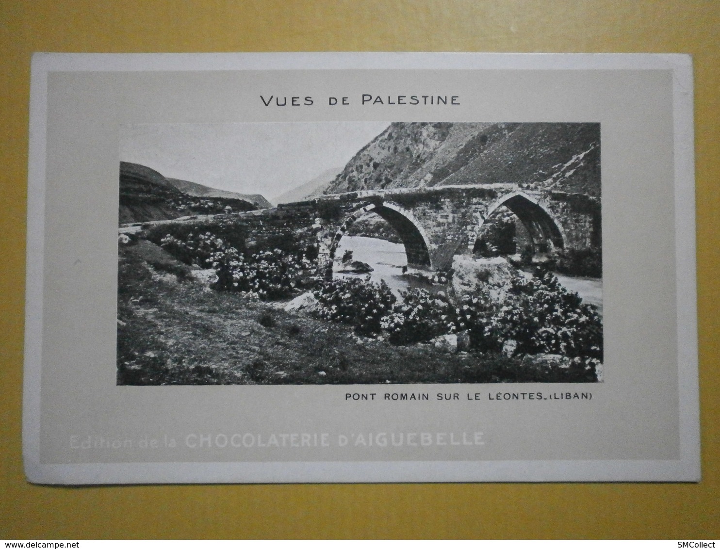 Vues De Palestine. Liban. Pont Romain Sur Le Leontes (4956) (2) - Libano