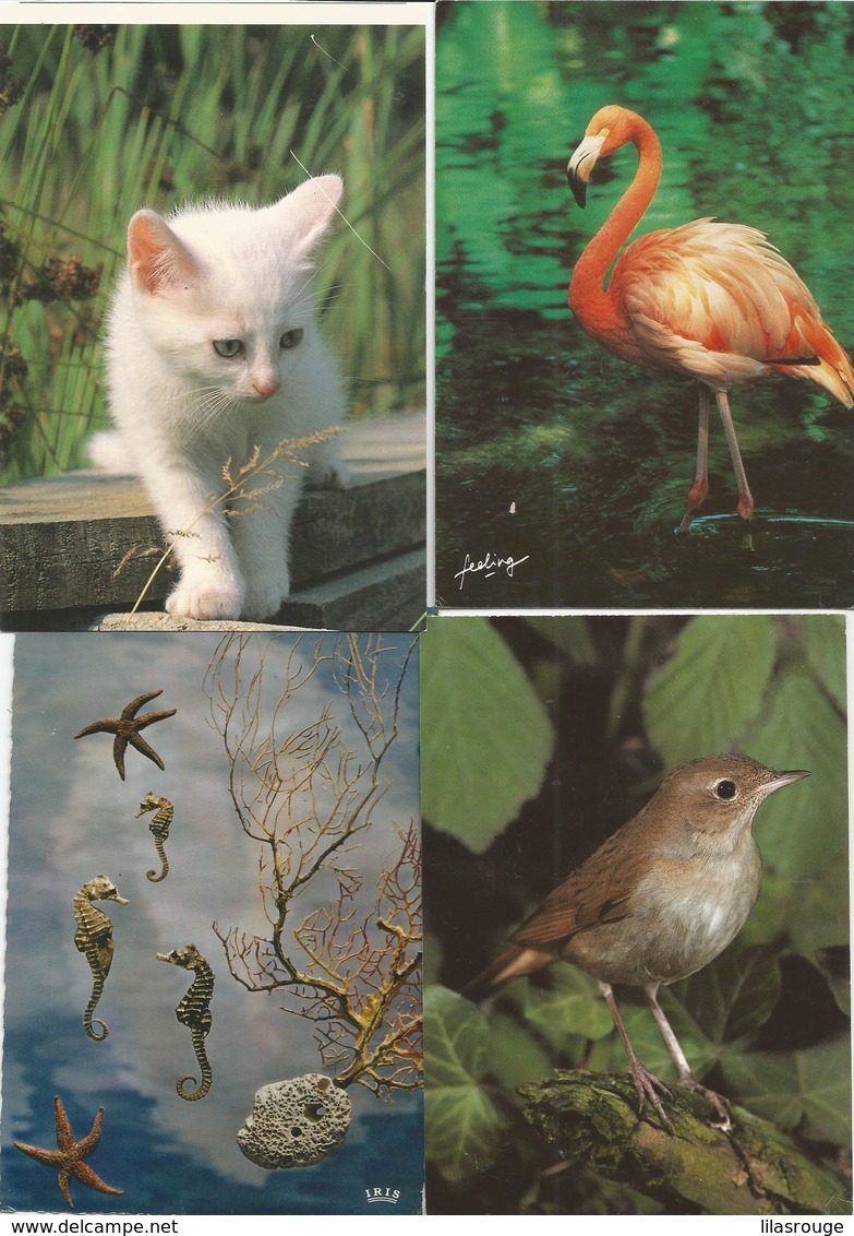 LOT   23 CARTES  CPM  ANIMAUX - 5 - 99 Postcards