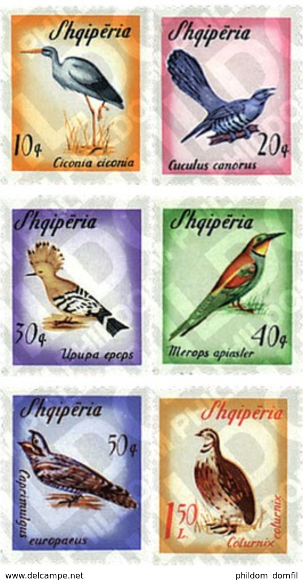 Ref. 78127 * MNH * - ALBANIA. 1965. MIGRATORY BIRDS . AVES MIGRATORIAS - Otros & Sin Clasificación