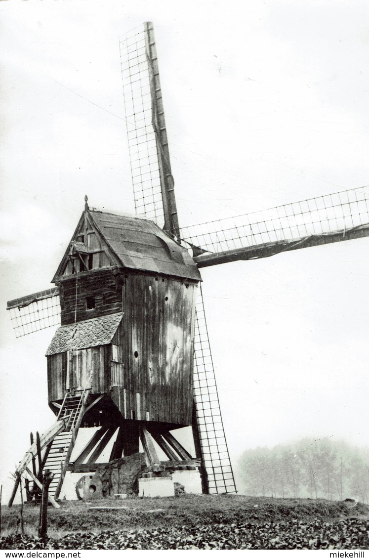 BAZEL-WAAS-HANEWIJKMOLEN-MOULIN A VENT-molen - Kruibeke