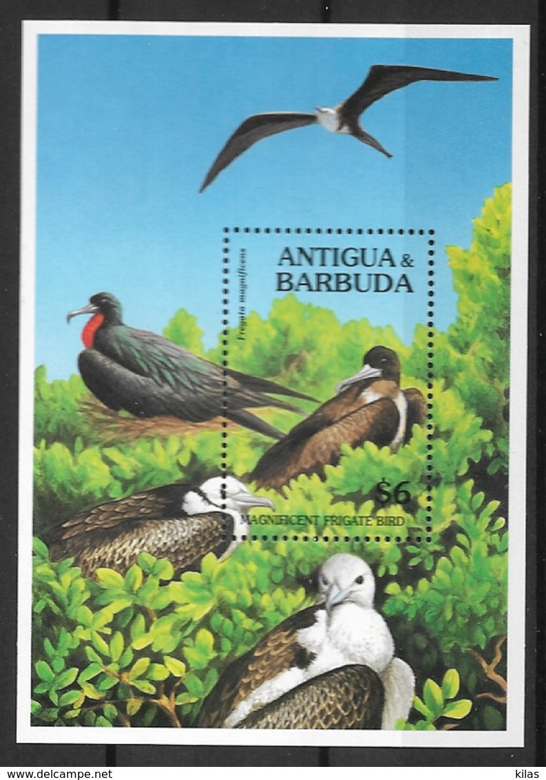 ANTIGUA & BARBUDA 1994 "magnificent Frigatebird" - Albatros