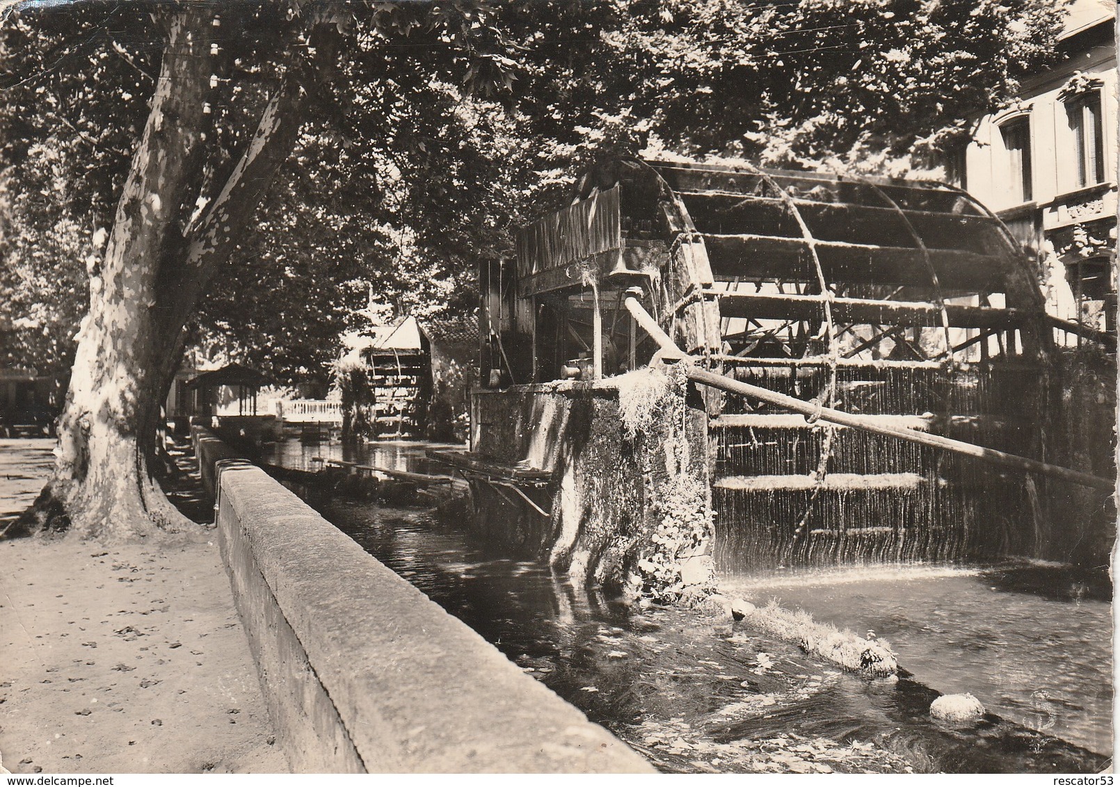 Cpsm L'isle Sur Sorgue L'allée De Villevielle  Et Ses Roues à Aubes Moulins - L'Isle Sur Sorgue